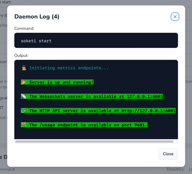 Checking The Soketi Service Checking The Soketi Service