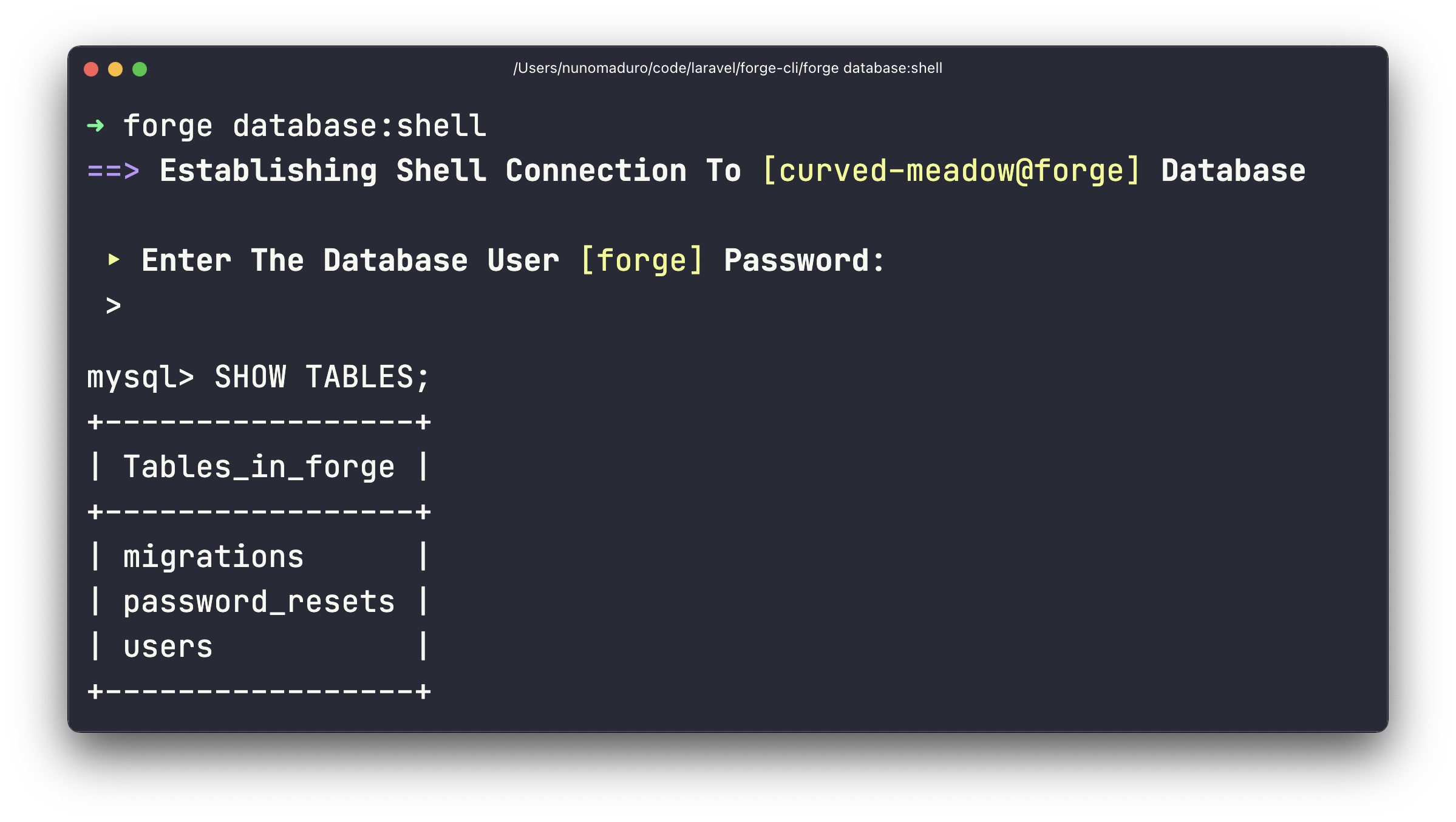 forge-database-shell image