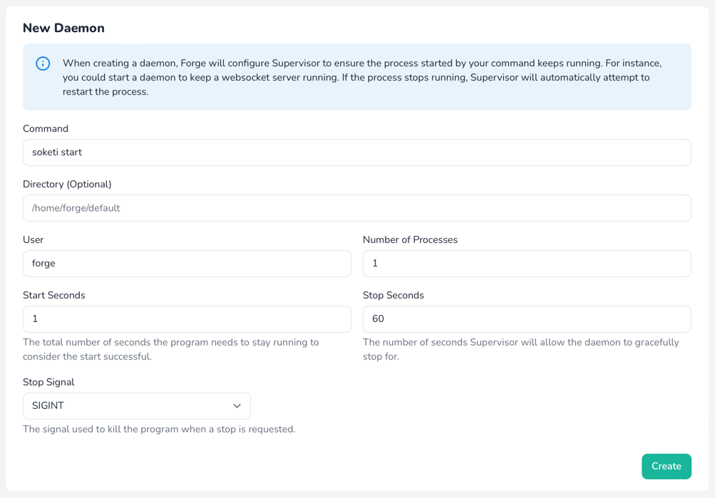 Creating The Soketi Daemon Creating The Soketi Daemon